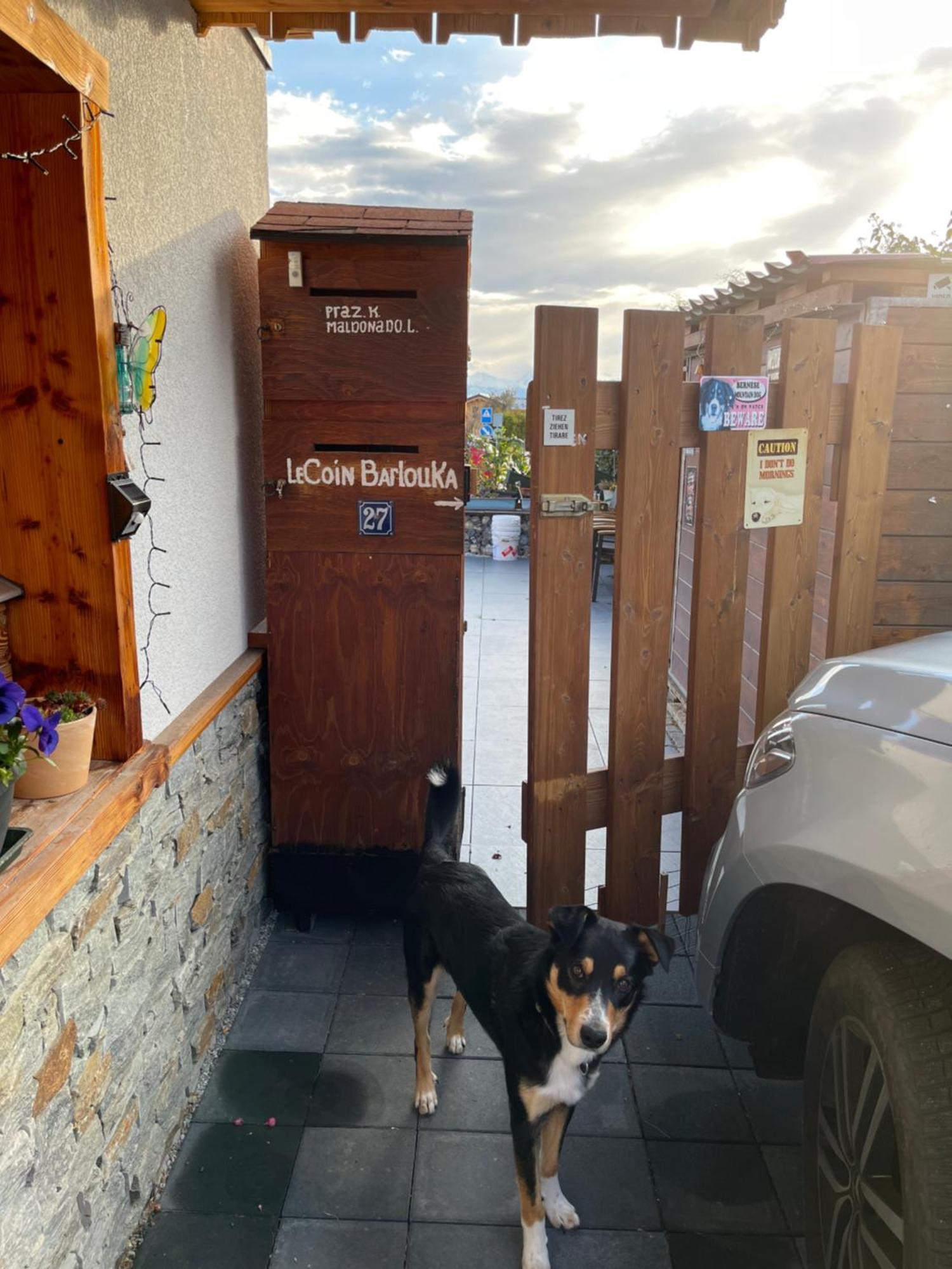 Le Coin Barlouka Apartment Veysonnaz Luaran gambar